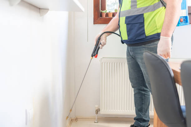 Best Residential Pest Control  in Timberwood Park, TX