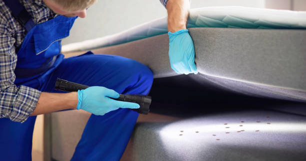 Timberwood Park, TX Pest Control Pros